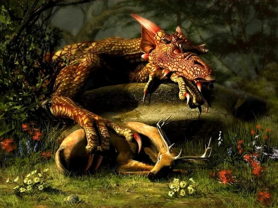 Drache_560x0.jpg